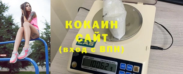 твердый Верхний Тагил