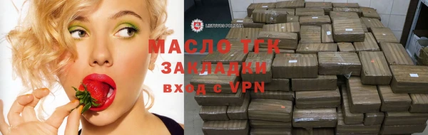 твердый Верхний Тагил