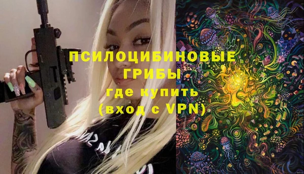 дмт Верея