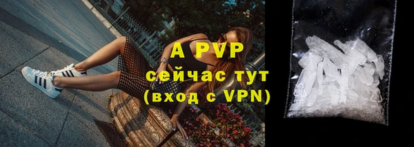 дмт Верея