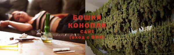 дмт Верея