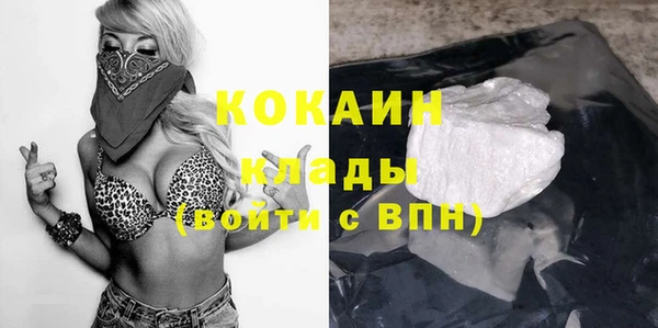 дмт Верея