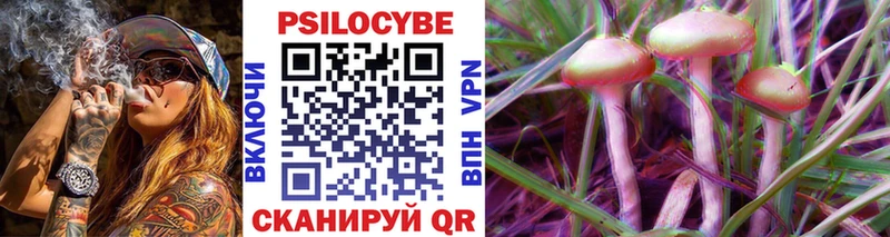 Псилоцибиновые грибы Magic Shrooms  Купить где  Зеленокумск 